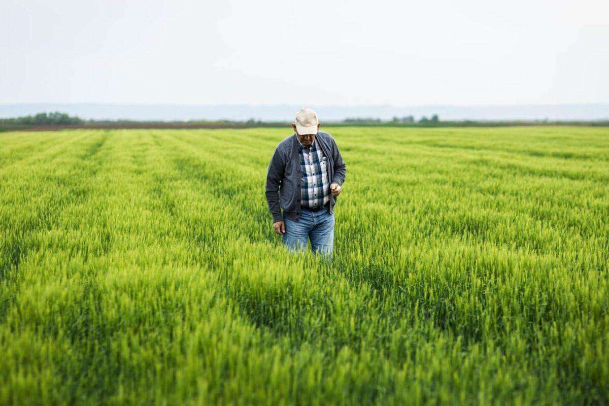 Témoignage de Jean-Michel F., agriculteur